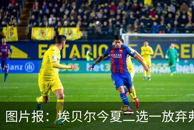 图片报：埃贝尔今夏二选一放弃弗里克